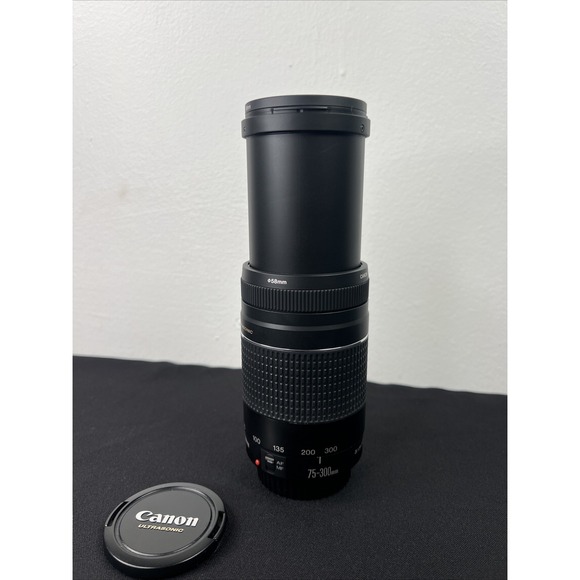 Canon Ultrasonic Zoom Lens EF 75-300mm 1:4-5.6 III USM ULTRASONIC - Picture 6 of 15